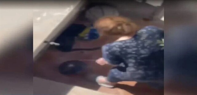 Φρίκη: Ηλικιωμένη κακοποιεί ετοιμοθάνατη γάτα στην οποία είχε ρίξει φόλα – Βίντεο